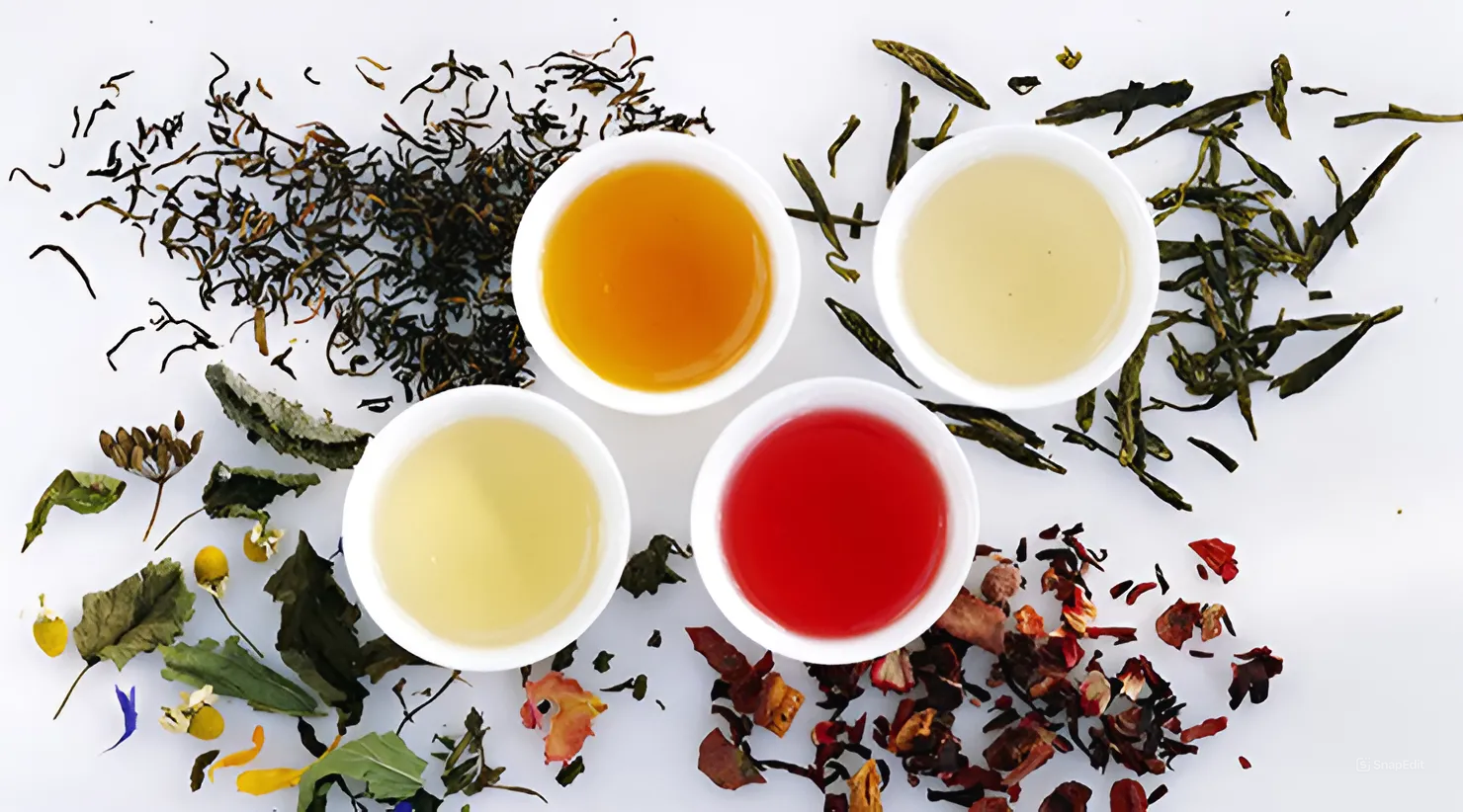 Types of Tea: An In-Depth Guide to Tea Varieties - Anna’s Tea & Coffee Shop